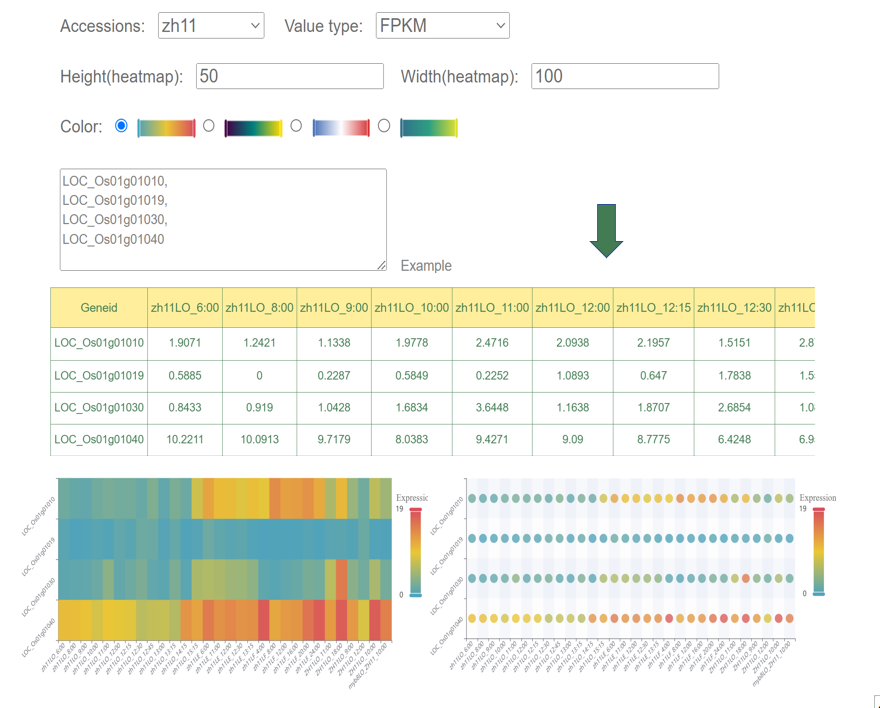 Expression Data