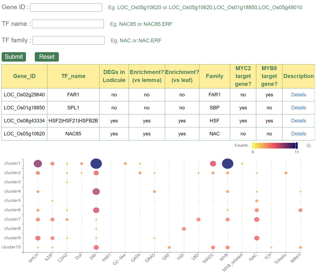 Transcription Factor
